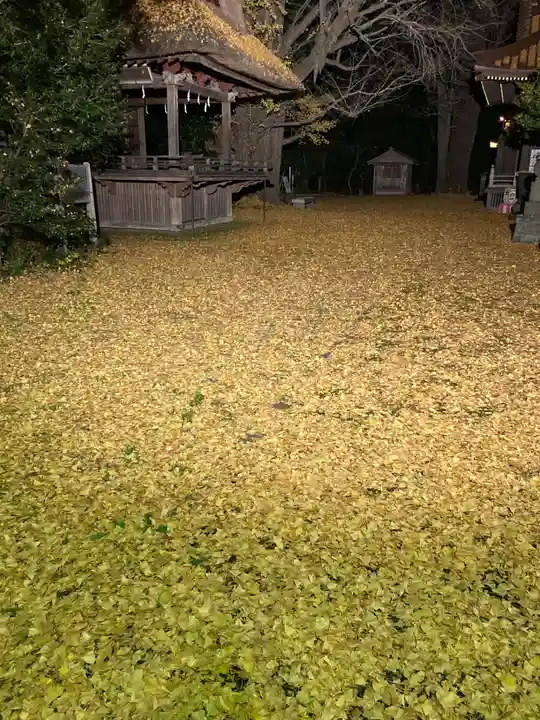 玉敷神社(埼玉県)