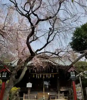 白山神社の本殿・本堂