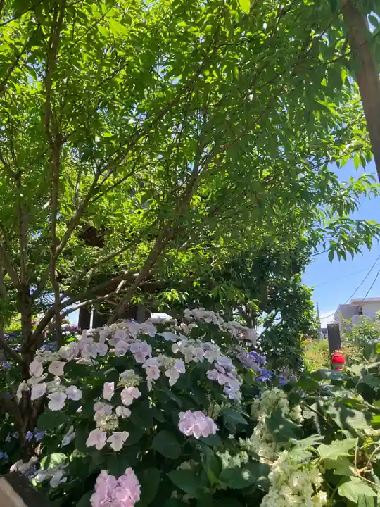 寶安寺(宝安寺)(神奈川県)