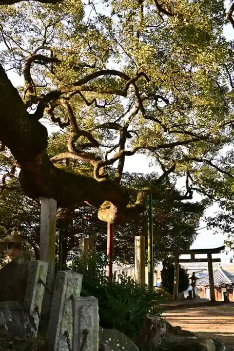 天満神社(愛媛県)