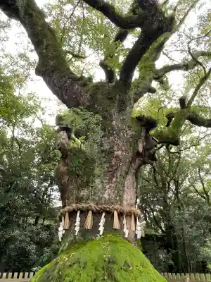 熱田神宮(愛知県)