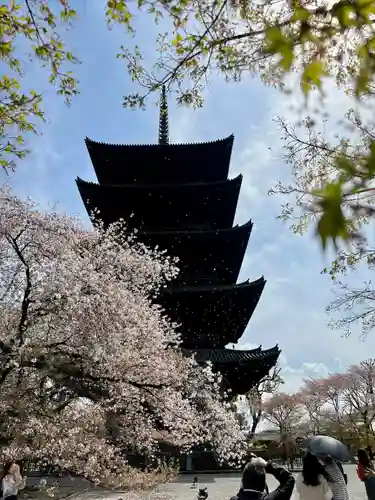 東寺（教王護国寺）(京都府)