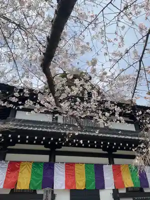 長谷寺(神奈川県)