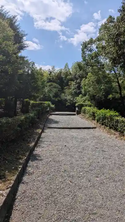 仲恭天皇 九條陵(京都府)