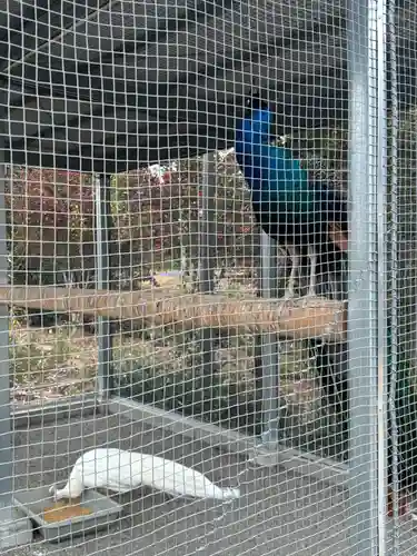 進雄神社(群馬県)