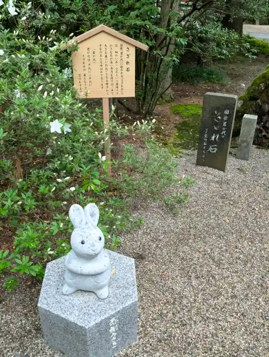 越中一宮 髙瀬神社の{uncategorized: "未分類", other: "その他", undefined: "問題あり", building: "その他建物", grave: "お墓", sacred_gate: "鳥居", guardian: "狛犬", statue: "像", buddha: "仏像", history: "歴史", nature: "自然", garden: "庭園", animal: "動物", pagoda: "塔", temizu: "手水舎", mountain_gate: "山門・神門", sanctuary: "本殿・本堂", subordinate: "末社・摂社", art: "芸術", scenery: "景色", jizo: "地蔵", ema: "絵馬", goshuin: "御朱印", omikuji: "おみくじ", items: "授与品その他", amulet: "お守り", goshuincho: "御朱印帳", eats: "食事", festival: "お祭り", votive_dance: "神楽", shichigosan: "七五三参", wedding: "結婚式", experience: "体験その他", initially: "初詣", around: "周辺", anti_infection: "感染症対策"}