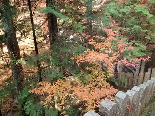 脳天大神龍王院の景色