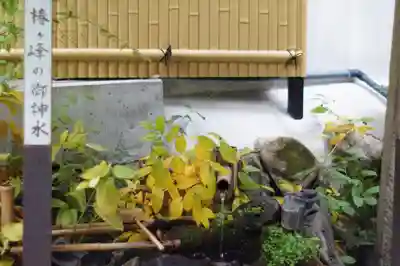 大豊神社(京都府)