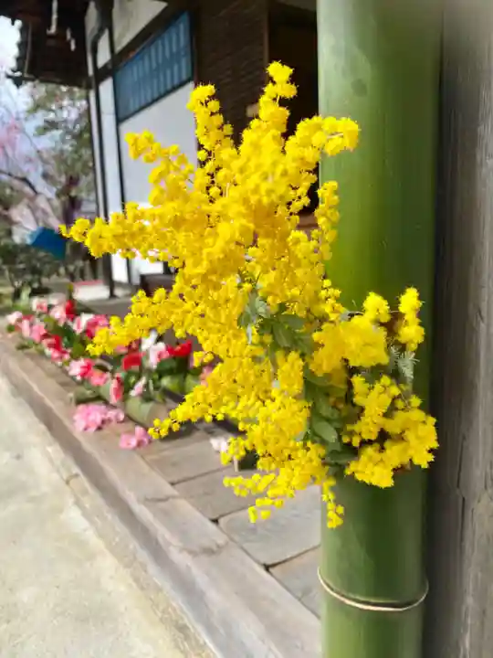 霊鑑寺門跡の自然