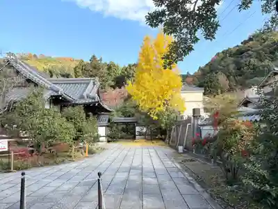 霊鑑寺門跡(京都府)