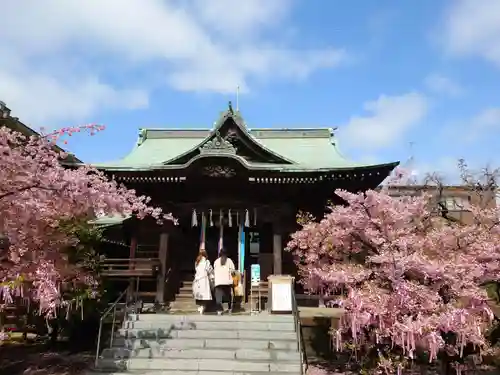 桜神宮(東京都)