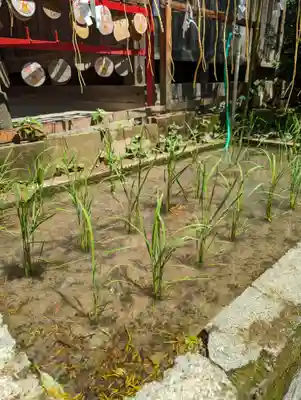 下神明天祖神社(東京都)