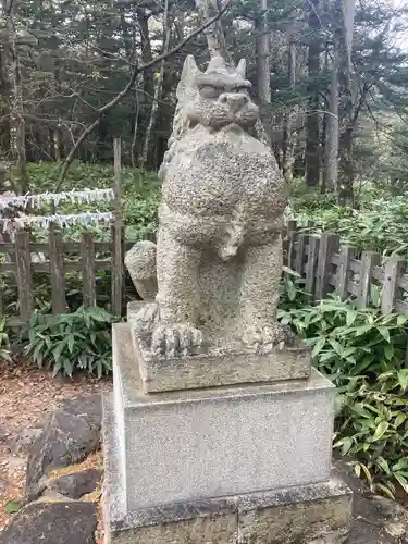 穂高神社奥宮の狛犬