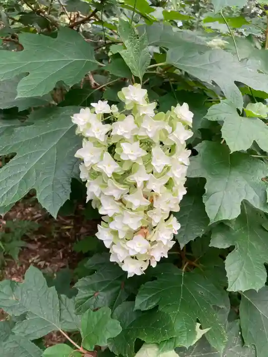 大宝八幡宮(茨城県)