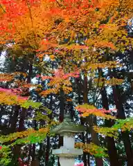 滑川神社 - 仕事と子どもの守り神の自然