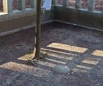 鹿島神宮(茨城県)