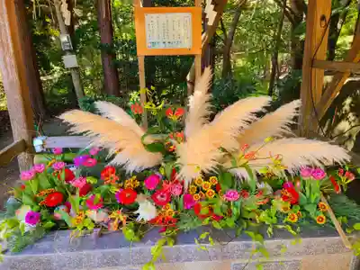 伊都国 宮地嶽神社の手水舎