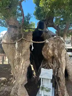 櫛田宮(佐賀県)