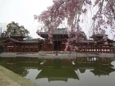 平等院のその他建物