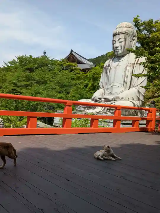 南法華寺(壷阪寺)(奈良県)