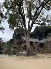 宝満宮竈門神社(福岡県)