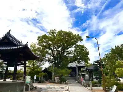 一宮寺(香川県)