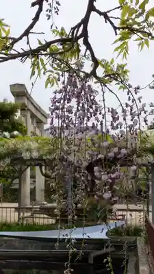 誉田八幡宮(大阪府)