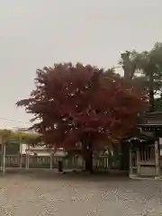 白鷺神社(栃木県)