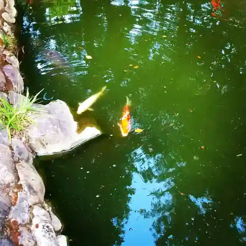 安房神社の庭園