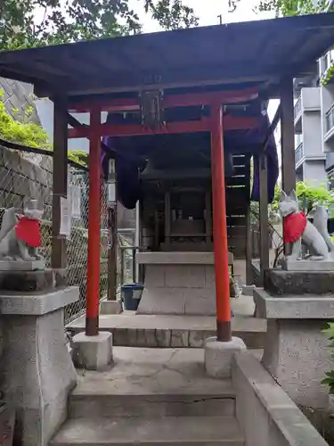 白菊稲荷神社のおみくじ