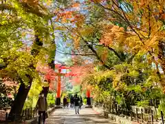 宇治上神社の鳥居