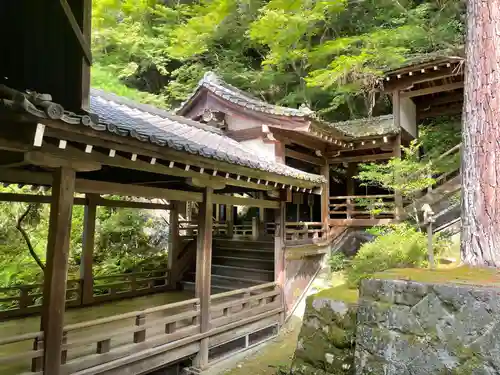 禅林寺（永観堂）(京都府)