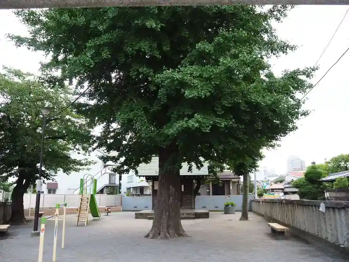 諏訪神社の自然