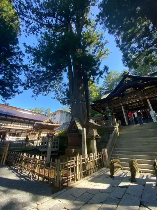 三峯神社(埼玉県)