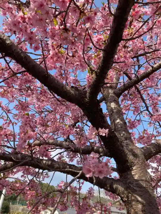 鈴森神社の自然