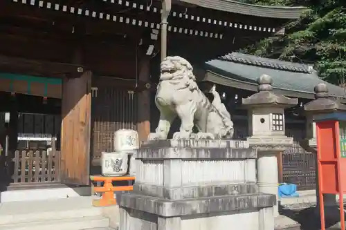 京都霊山護國神社の狛犬