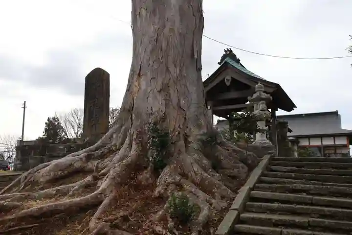 多田野本神社の自然