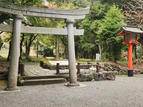 宇佐神宮の{uncategorized: "未分類", other: "その他", undefined: "問題あり", building: "その他建物", grave: "お墓", sacred_gate: "鳥居", guardian: "狛犬", statue: "像", buddha: "仏像", history: "歴史", nature: "自然", garden: "庭園", animal: "動物", pagoda: "塔", temizu: "手水舎", mountain_gate: "山門・神門", sanctuary: "本殿・本堂", subordinate: "末社・摂社", art: "芸術", scenery: "景色", jizo: "地蔵", ema: "絵馬", goshuin: "御朱印", omikuji: "おみくじ", items: "授与品その他", amulet: "お守り", goshuincho: "御朱印帳", eats: "食事", festival: "お祭り", votive_dance: "神楽", shichigosan: "七五三参", wedding: "結婚式", experience: "体験その他", initially: "初詣", around: "周辺", anti_infection: "感染症対策"}