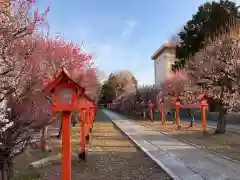 朝日森天満宮の建物その他