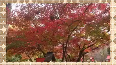 冠稲荷神社(群馬県)