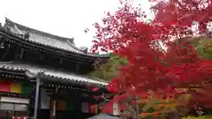 今熊野観音寺の本殿