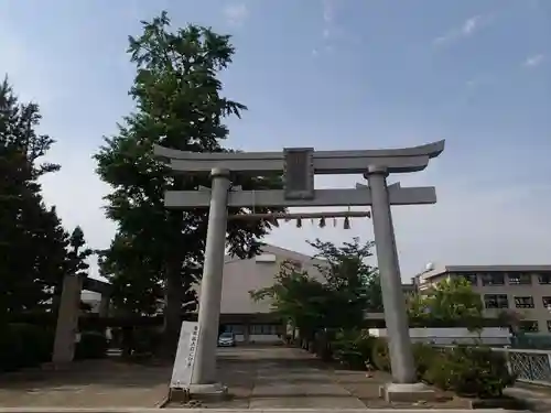 福井神社の鳥居