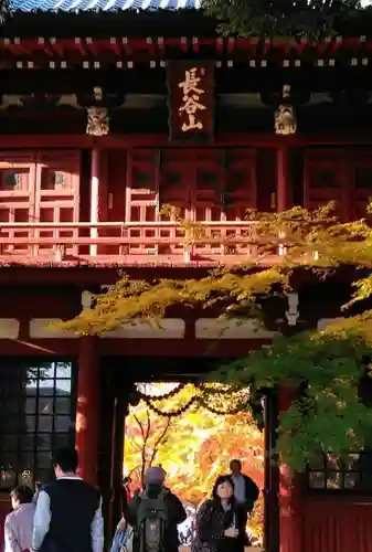 本土寺の山門・神門