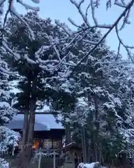 高司神社〜むすびの神の鎮まる社〜の建物その他