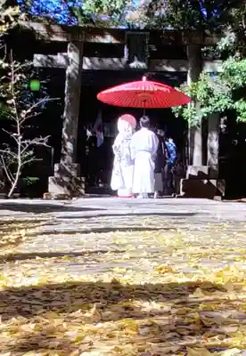 赤坂氷川神社(東京都)