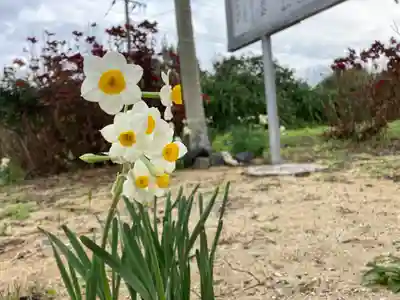 岬大明神の自然