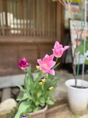 法起院(奈良県)