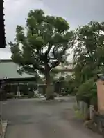 宗隆寺のその他建物