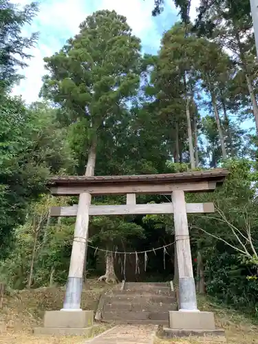 安房洲神社の鳥居