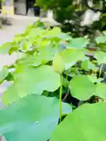 伊勢の国 四天王寺(三重県)